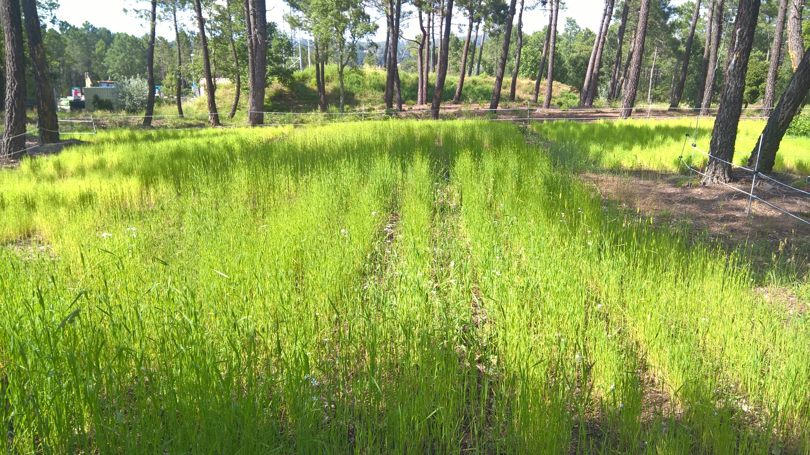 WP_20180611_16_57_11_Pro